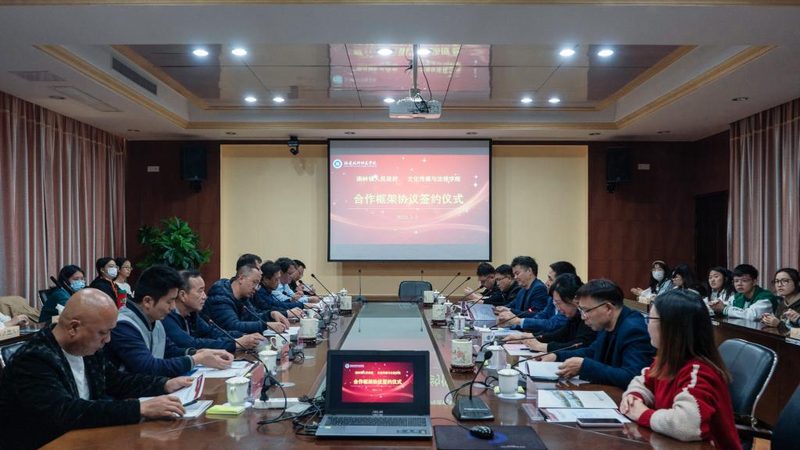 MG动画人物设计参数：揭秘创意与技术的完美融合**
