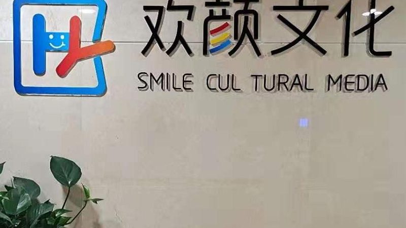 vi设计效果图定制公司